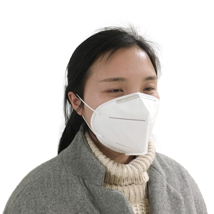 Single N95 Mask
