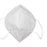 Single N95 Mask
