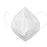 Single N95 Mask